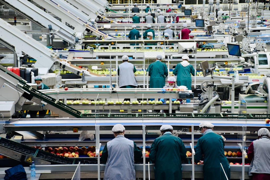 Pakowanie próżniowe w gastronomii — jak wydłużyć świeżość produktów i uporządkować pracę kuchni?